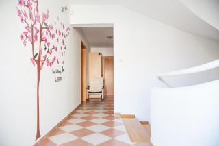 Apartments Villa Lilly - Pula - 8