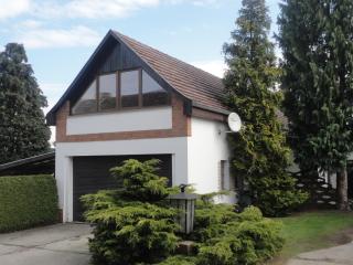 Groß Kölzig - Moderne Ferienwohnung in ländlicher Idylle - - 0
