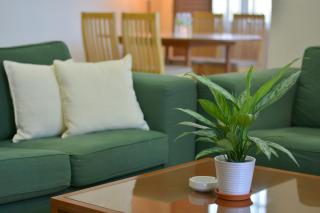 The Maple Suite - Kuala Lumpur - 3