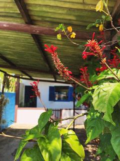 Casa Inaê - Búzios - 0