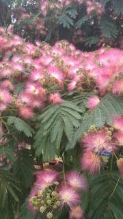 Weingut Thomas Brandl - 8