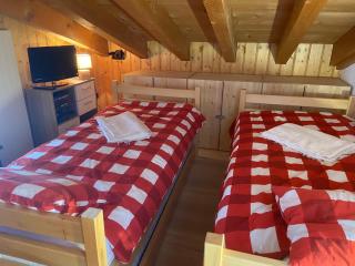 Ski & Summer Apartment in VILLARS-CHESIERES - 5