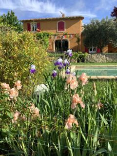Provence Luberon - Grambois - 0