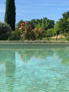 Provence Luberon - Grambois - 8