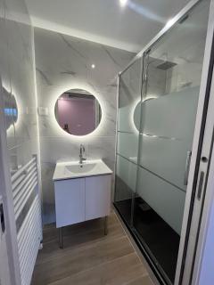 Luxury villa, 4 suites with bathroom, near Geneva - Saint-Julien-en-Genevois - 7