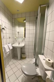 Dyke Hotel - Le Puy en Velay - 4