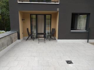 Apartman terasa v Dole - Černý Dŭl - 9