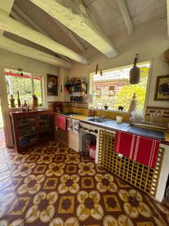 Madrigal or red finquita - 6