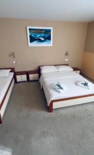 Hotel Snezna Kraljica Jahorina - Jahorina - 8