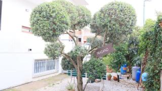 Luxury 160sqm wifi Parking, near Pompeii & Amalfi - 4