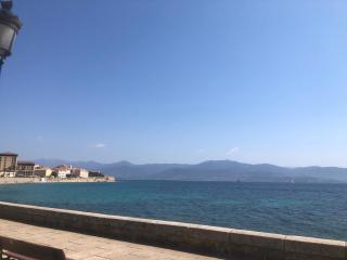 Ajaccio centre ville cosy et spacieux avec climatisation, grande terrasse et vue mer - 5