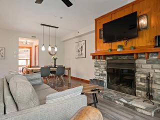 Les Eaux 225-1 Ski-Hot tub-Free shuttle - Mont-Tremblant - 9