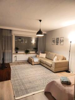 Spacious and Cozy Home with Large Balcony & Free Parking - Rovaniemi - 0
