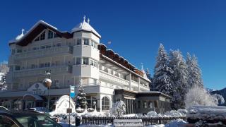 Park Hotel Bellevue - Toblach - 9