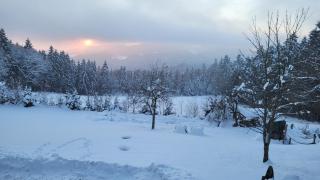 Ferienwohnung Waldidyll - 8