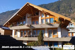 Schwizi's Apartments - Ringgenberg - 9