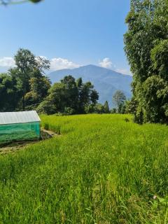 The Grand Kalimpong - Kalimpong - 9