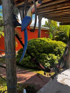 Paz y armonía en Chuy - 2