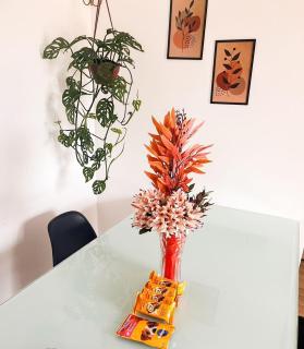 Apt aconchegante no Rio - Casa Maria Alegre - 9