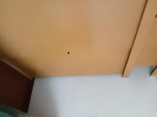 4 min from Costanera Villarrica - Villarrica - 4