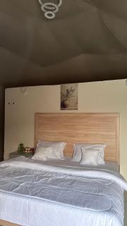 Wahiba Sand private dome - 2