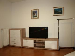 Apartament VISOTA - Ptuj - 8
