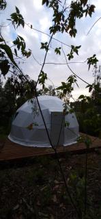 Domo en medio del bosque con wifi - Pitrufquén - 3