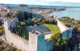 Il tulipano di Lia - Castiglione del Lago - 5