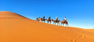 jumeirah standard camp merzoug - 5