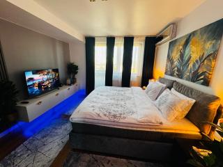 Ramona's Cosy Apartment - Timişoara - 3