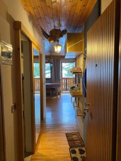 Appartamento ai piedi delle Dolomiti - 1