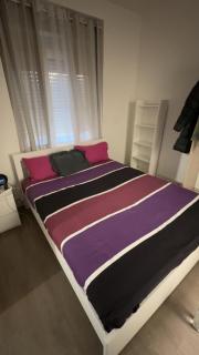 Apparemment T1 cosy - Cabriès - 0