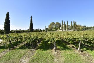 Le Palazzole - Colà di Lazise - 5