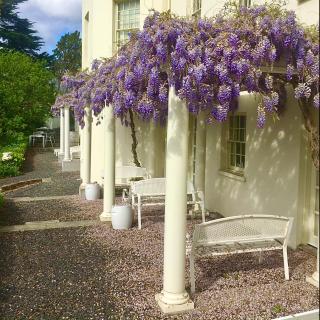 The Woodbridge Waterfront Rooms - 5