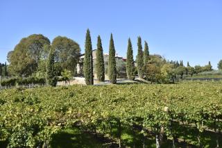 Le Palazzole - Colà di Lazise - 4