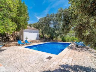 Charming farmhouse with private pool - Priego de Córdoba - 0