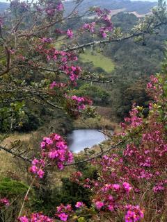 Mirador de las aguas - Tierra Negra - 6