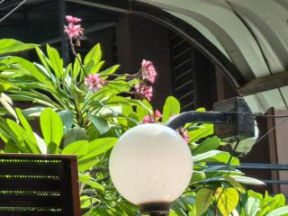 蓝梦酒店 - Phnom Penh - 1