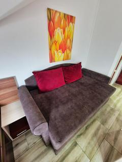 Vila Aleksandra 2 Studio 14 - Soko Banja - 5
