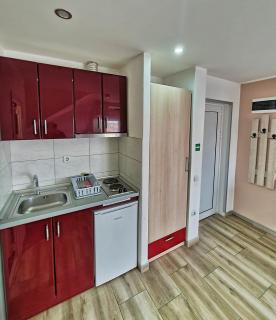 Vila Aleksandra 2 Studio 14 - Soko Banja - 4