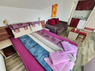 Vila Aleksandra 2 Studio 14 - Soko Banja - 0