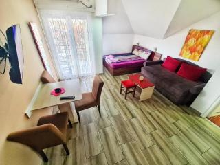 Vila Aleksandra 2 Studio 14 - Soko Banja - 7