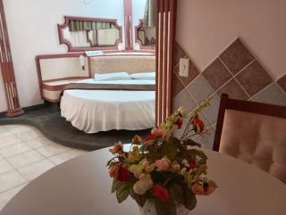 Pousada Recanto das Palmeiras - 5