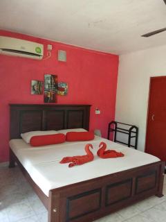 Green turf - Galle - 3