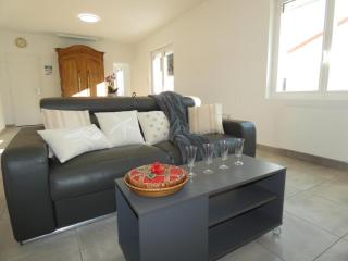 Maison conviviale à 500m de la plage, animaux admis, terrasse et WiFi - FR-1-540-307 - Notre-Dame-de-Monts - 1