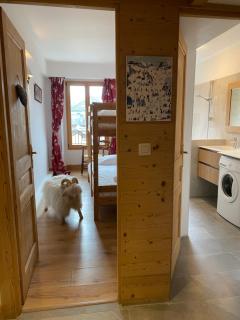 Appartement Le Lutetia - Chamonix - 9