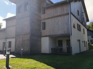 Moderne T3 près de Morillon avec parking, WIFI, appareils à raclette et fondue - FR-1-624-177 - Morillon - 1