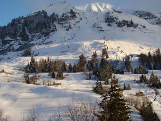 Confortable studio savoyard, balcon sud, parking - FR-1-458-213 - Le Grand-Bornand - 1