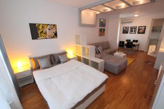 New Belgrade apartment Neven, parking 5 evra dan - Belgrado - 5