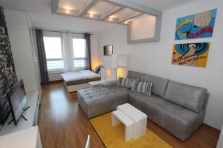New Belgrade apartment Neven, parking 5 evra dan - Belgrado - 4